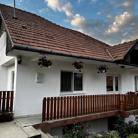 Balázs Vendégház Lupeni  Extérieur photo