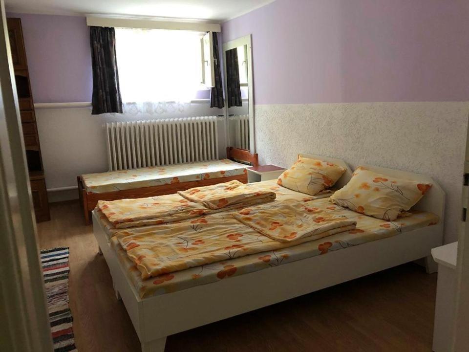 Balázs Vendégház Lupeni  Extérieur photo