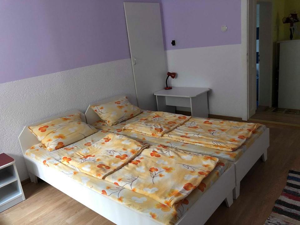 Balázs Vendégház Lupeni  Extérieur photo
