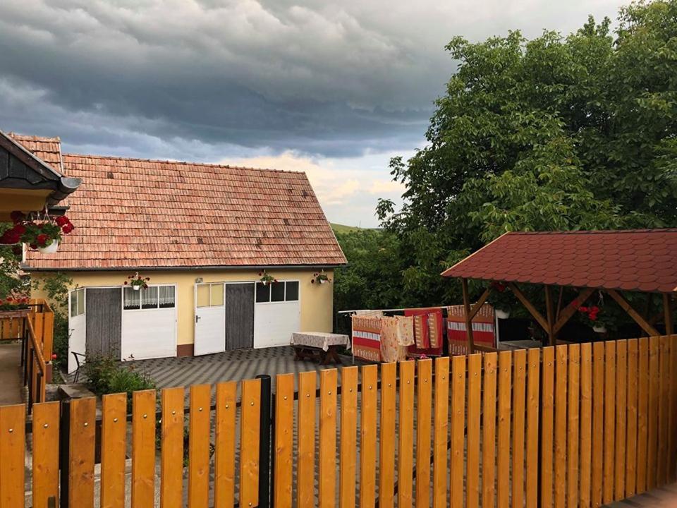 Balázs Vendégház Lupeni  Extérieur photo